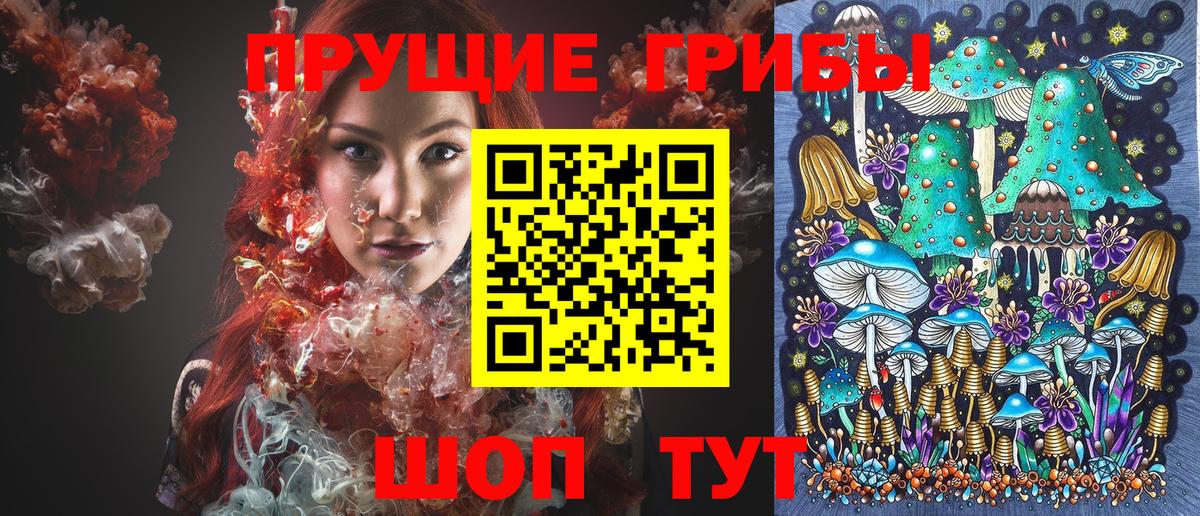 Галлюциногенные грибы Psilocybe  Вход с VPN  Краснодар 