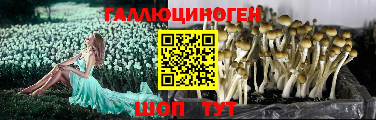 Галлюциногенные грибы MAGIC MUSHROOMS Краснодар